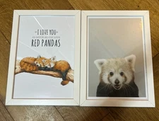 Two Red Panda Prints 16”x12” Framed