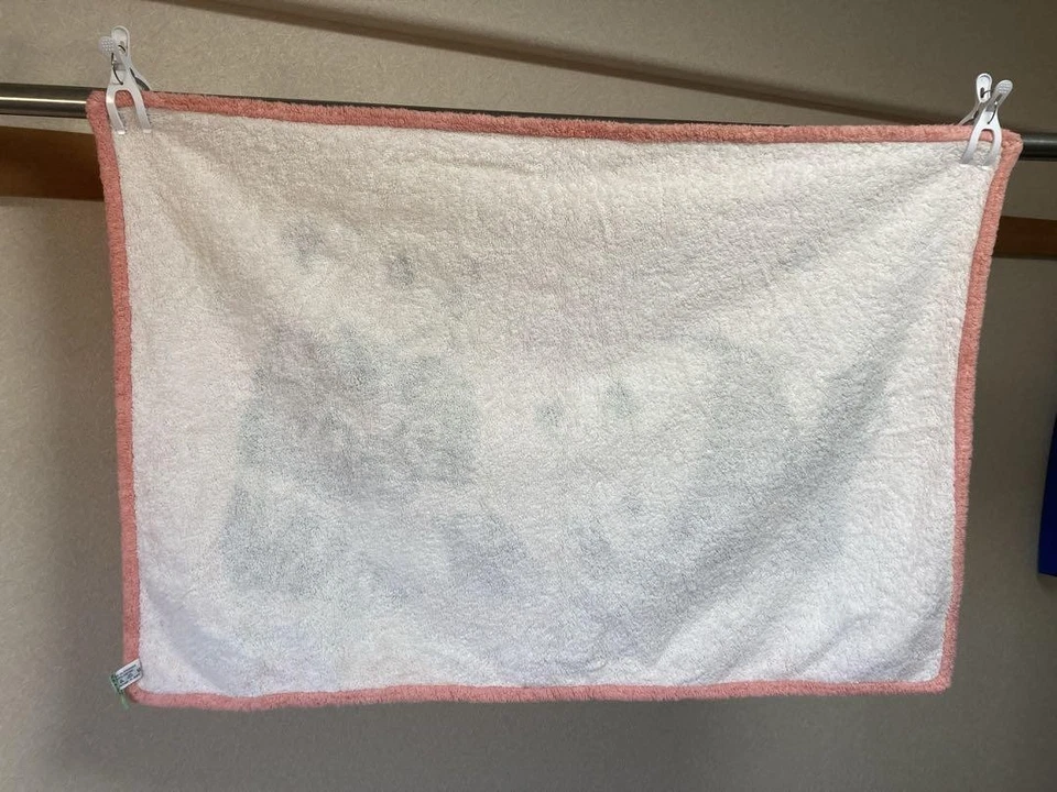 HERMES Paris Beach Towel Panda Pink 60㎝x90cm Cotton excellent gift - Image 2 of 4