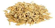 WHOLE OATS  --CAT GRASS, FOOD STORAGE, ANIMAL FEED, HORSE FEED  SPROUTING   10LB
