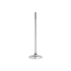 Intake Valve  DNJ Engine Components  IV143