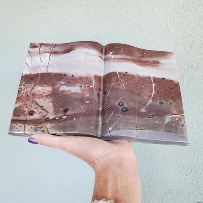Statement Book Carving Picture Story Jasper Crystal Dendrite 2130 grams