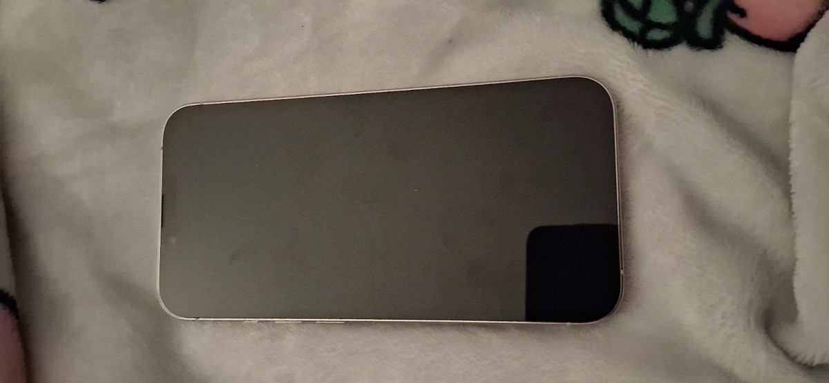 Apple iPhone 13 Pro - 256 GB - Silver (Unlocked) for sale