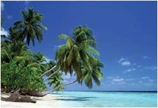 Leaning Palm Tree Tropical Art Print Laminated Poster - 36.5" x 24.5"