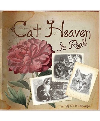 Cat Heaven Is Real, Blackbird, D.C.