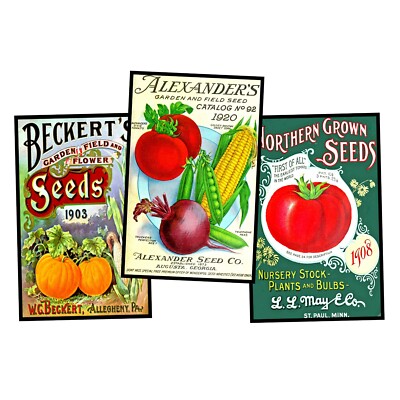 3 Garden Seed Pack Postcard Images, 3.5'' x 5.5'', DIY STICKERS, REPRODUCTIONS