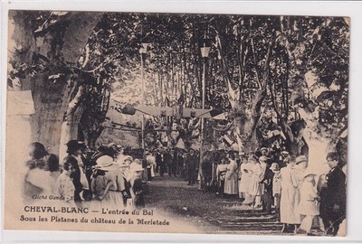 (FR1) CPA 84 WEISSES PFERD - Der Eingang zum Ball. Sous les platanes du chateau de mer