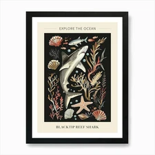 Blacktip Reef Shark Seascape Black  Framed Wall Art Poster Canvas Print Picture