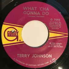 Terry Johnson - What'cha Gonna Do / Suzie, 7