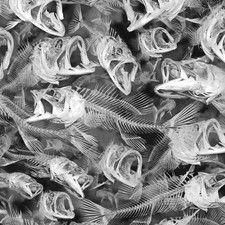 Large Mouth Bass - 16" x 48" Hydrographic Film Hydro Dipping