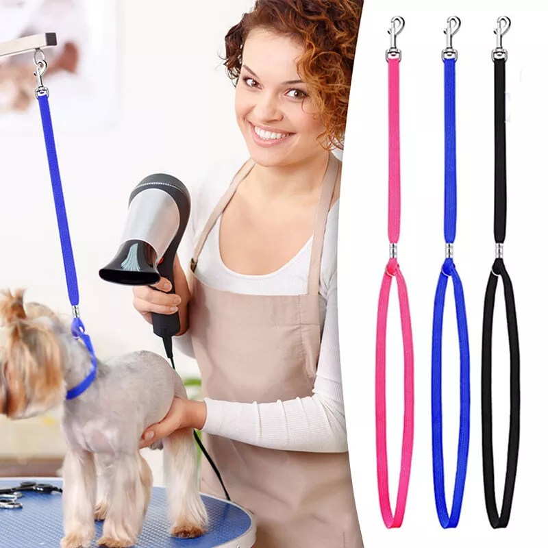 Nylon Restraint Noose Pet Grooming Loops Fixed Dog Cat Safety Rope