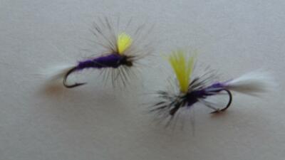 12 Mosche CDC Loop Wing Emerger Modello Adams – Per La Pesca A Mosca In Acqua Dolce, Emergenti Naturalissime