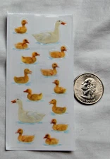 sticky pix stickers DUCKS ducklings duck baby cute yellow white photo real