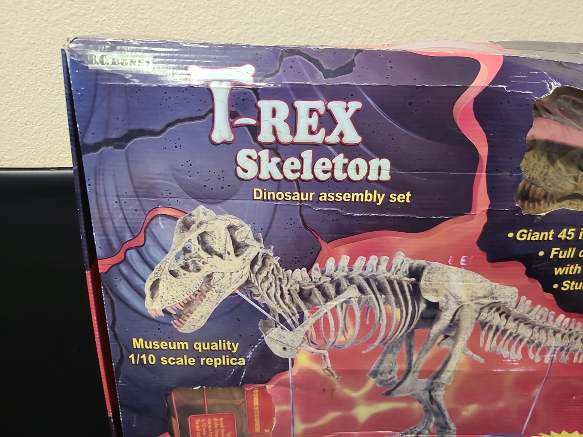 T-REX SKELETON 45