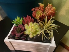 Faux Succulent Air Plant Arrangement