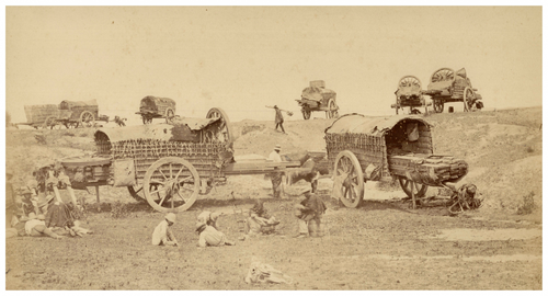 Chile, Transporte de Madera vintage albumen print Tirage albuminé 15,5x29