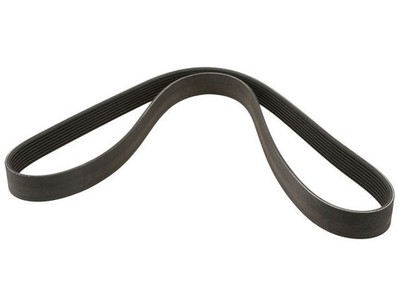 ContiTech Multi Rib Belt fits BMW 535i 2011-2016 17JDSW