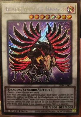   READ DESCRIPTION FOR SPECIAL CASING    YUGIOH BLACK ROSE DRAGON L5DD-ENS02 1ST