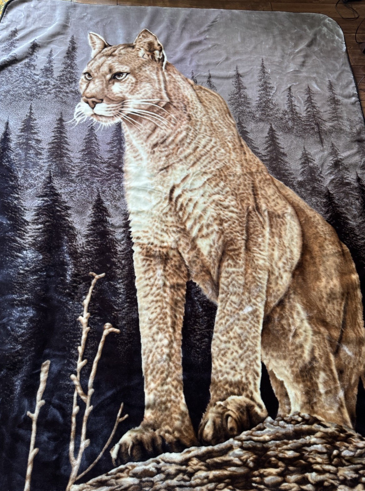 Picture 4 of 16