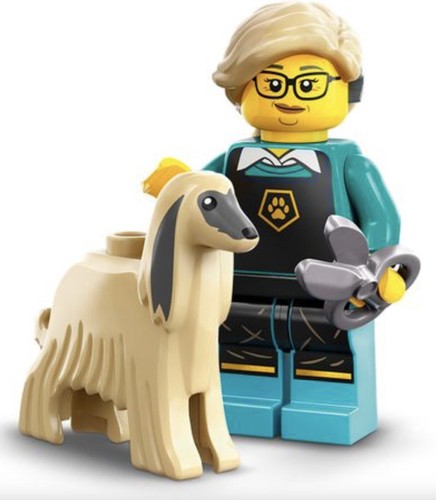 LEGO Series 25 Collectible Minifigures (71045) You Pick - Picture 25 of 25