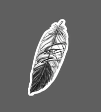 Eagle Sticker Feather Bird Waterproof NEW