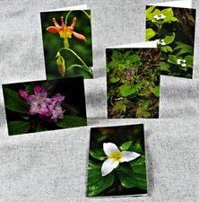 Pacific Northwest Spring wildflowers Set of 5 Blank Photo Notecards