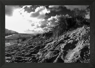 dune with sawgrass Framed Wall Art Poster Canvas Print Picture