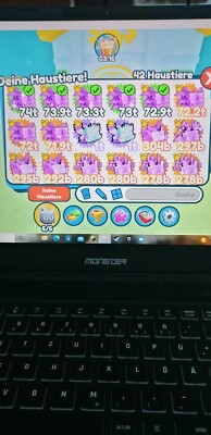 pet simulator x