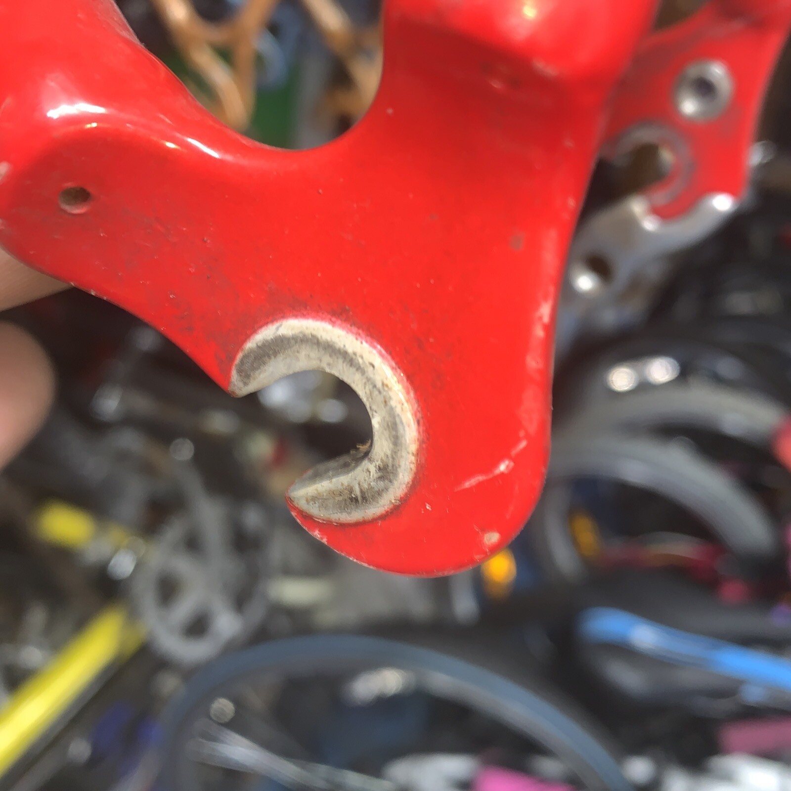 quintana roo kilo private reserve