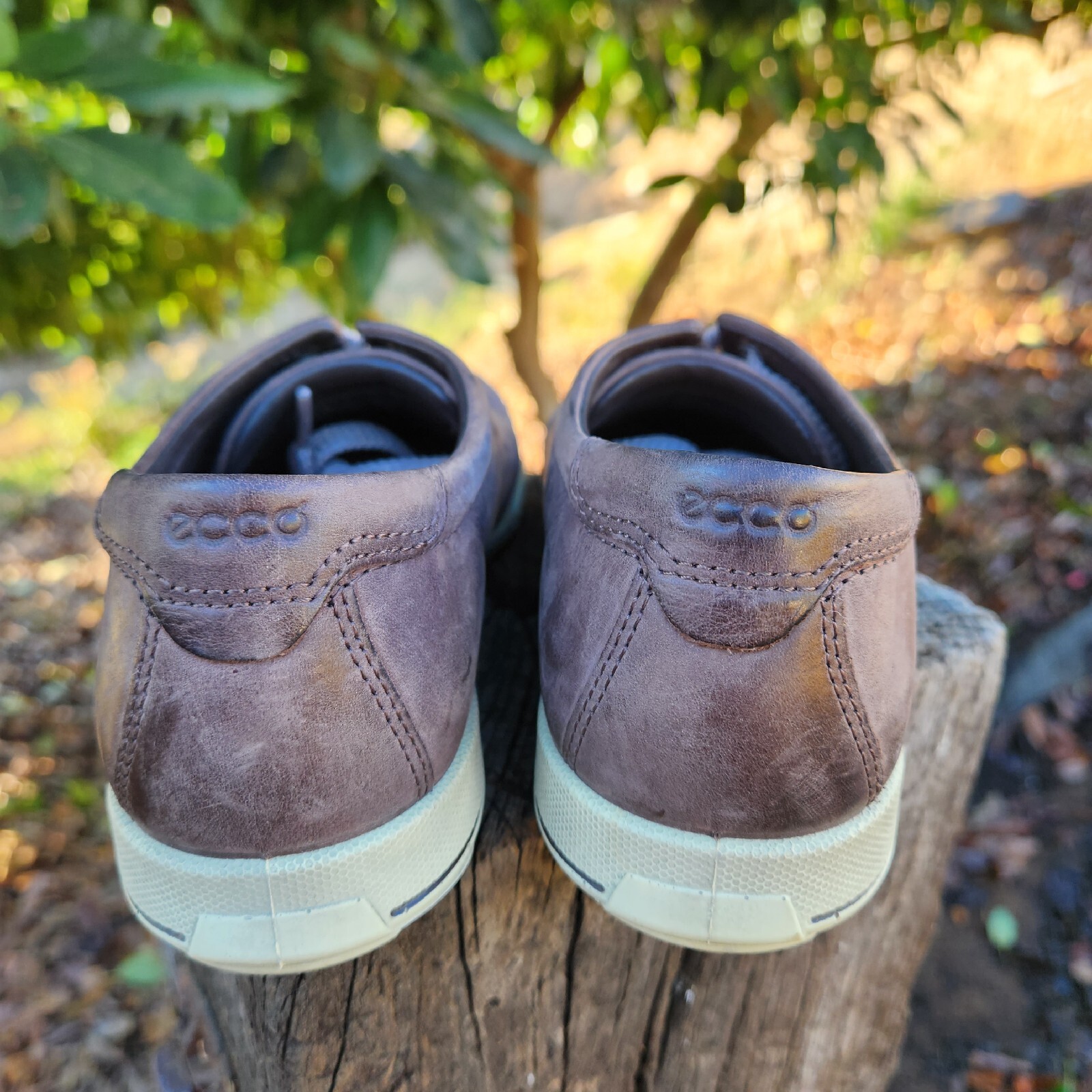 Picture 4 of 10