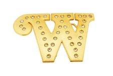 Initial W Letter w Western Belt Buckle Gold Metal Iced Style Rhinestones Womens