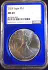 2025 American Eagle NGC MS69 TONED Bullion Vtg-0.999 Silver 1 Oz Ounce Art Coin