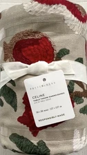 Pottery Barn Celine Embroidered Cotton Table Throw  50”