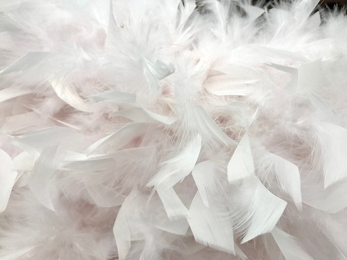 2 Yards - Pale Pink Heavy Weight Chandelle Turkey Feather Boa Supply | 80 Gram - Picture 9 of 12