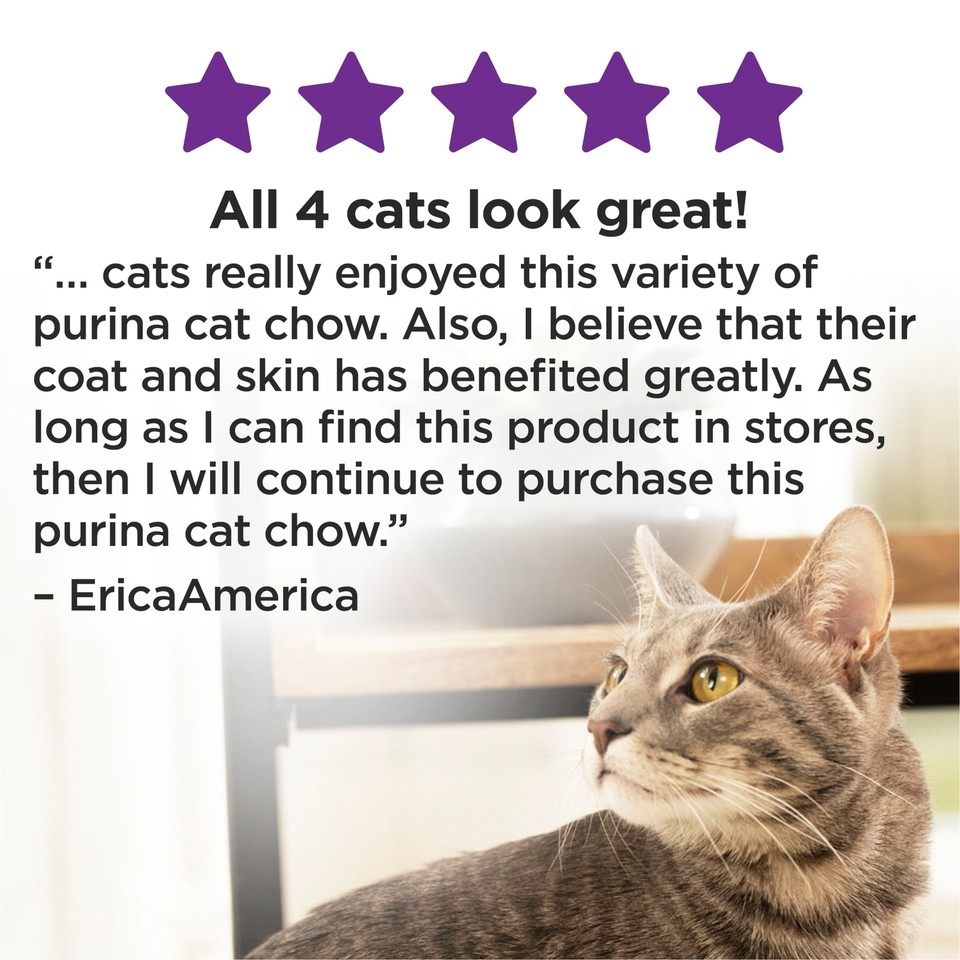 Purina Cat Chow Gentle, Sensitive Stomach Dry Cat Food, Turkey, 13 lb