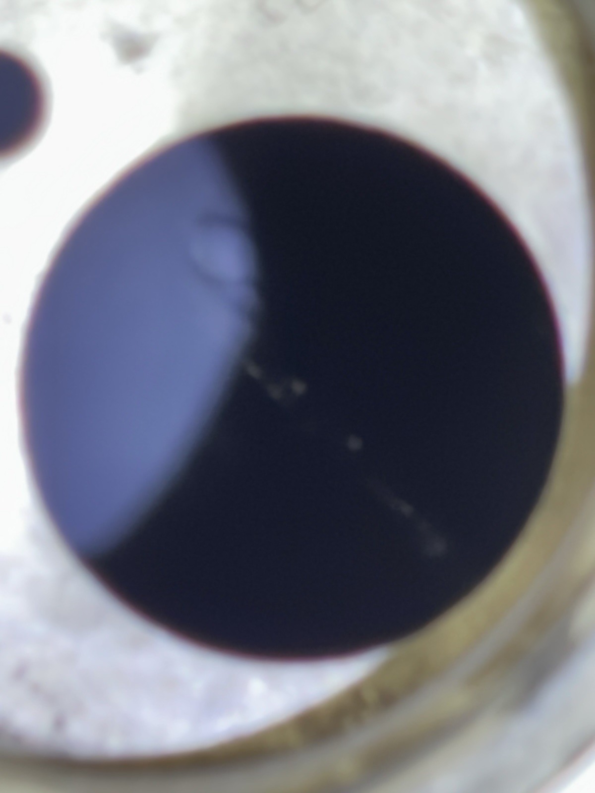 Picture 19 of 21