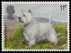 west highland white terrier british dogs