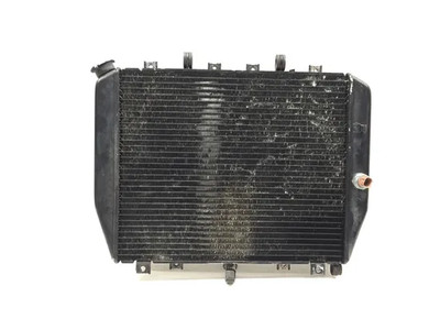 Engine Radiator Cooling 2002 Kawasaki Ninja ZX12R ZX1200B 3265 x