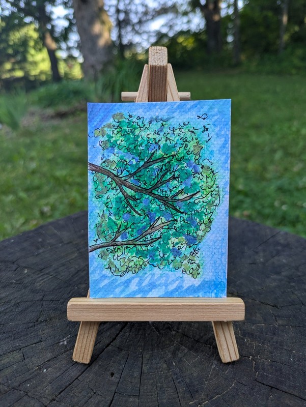 ACEO Original Watercolor & Pen Painting Trees OOAK abasicwitchscrafts 
