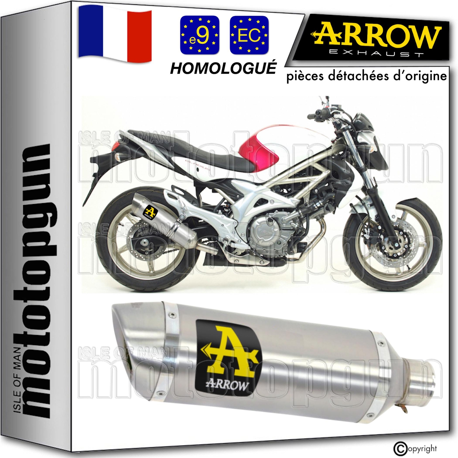Silencieux Arrow Thunder Suzuki SVF 650 Gladius 2010 pot échappement