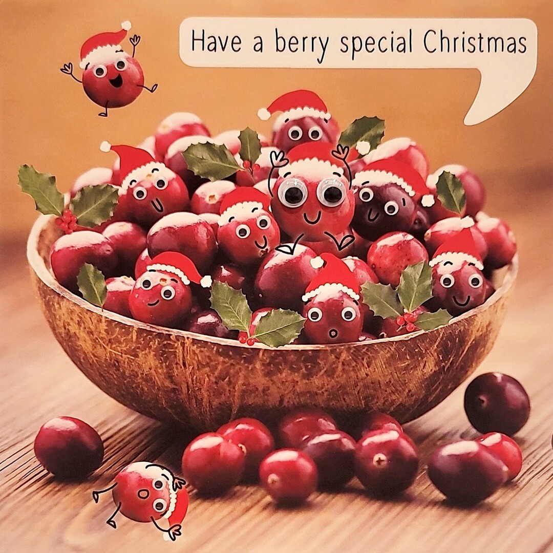 Festive Berries in Bowl Fun Goggly Eyes Merry Christmas & New Year Greeting Card