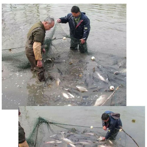 Rete da pesca 33 piedi o 65 piedi spiaggia senna esca rete da pesce con galleggianti durevole USA - Foto 12 di 14
