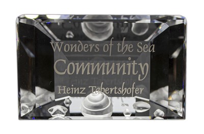 Swarovski Crystal Figurine, Community Title Plaque, (898130) 2.2'' NIB