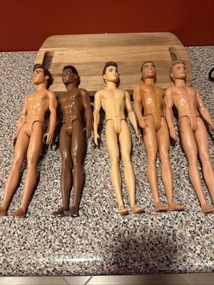 5  Ken Dolls, Mattel, Mostly 2016