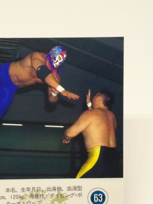 The Lacrosse All Japan Wrestling Card BBM 1996 NO.63 Very