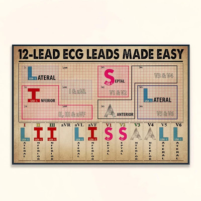 12 Lead ECG Leads Made Easy Medical Reference Chart Poster