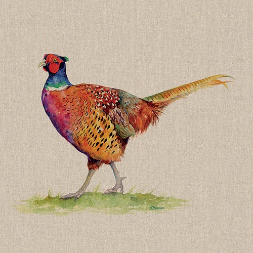 Jane Bannon Canvas Art Prints Range Of Animal Pictures 108 Different Options - Picture 53 of 120