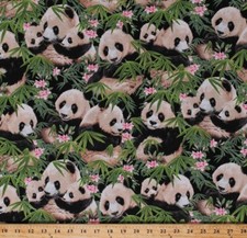 Cotton Giant Pandas Animals Bamboo Pandamania Cotton Fabric Print BTY D375.10