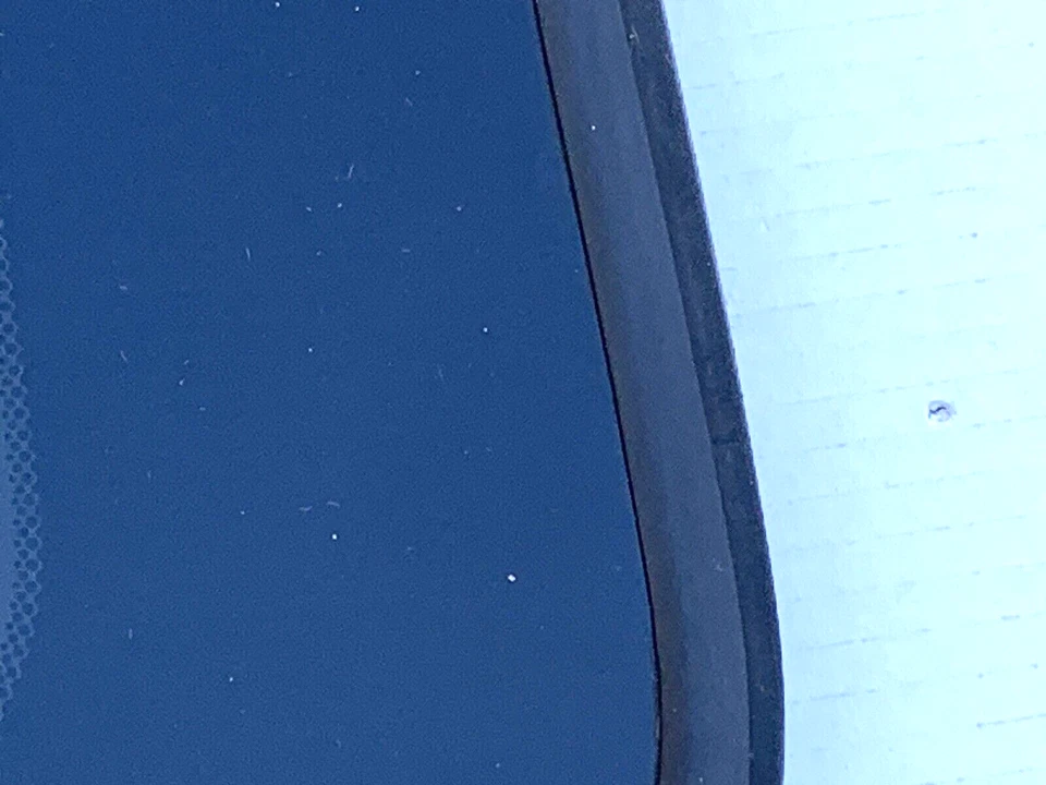 🔥2002-2006 Honda CR-V techo corredizo superior ventana vidrio techo corredizo vidrio eléctrico OEM Foto 4 de 4