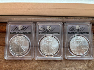 Silver Eagle First Strike MS 70 | eBay
