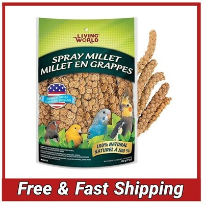 Millet Spray Bird Treat 7oz for Budgies, Finches, Canaries, Cockatiels